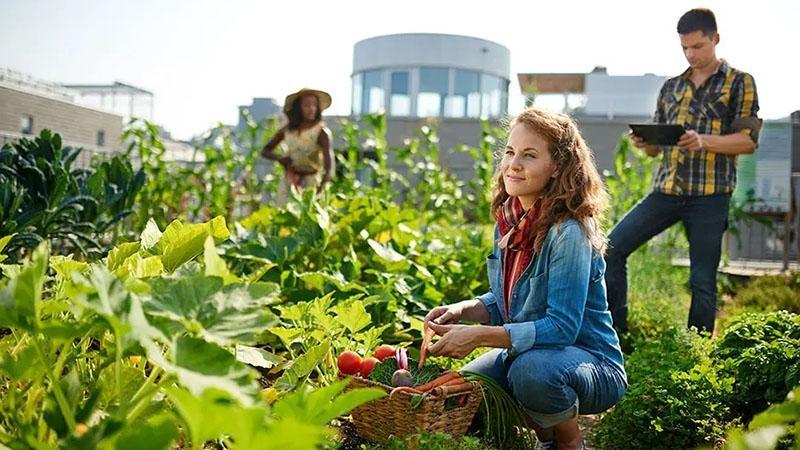 Start Your Own Edible Garden