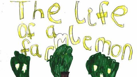 The Life of a Lemon Farm