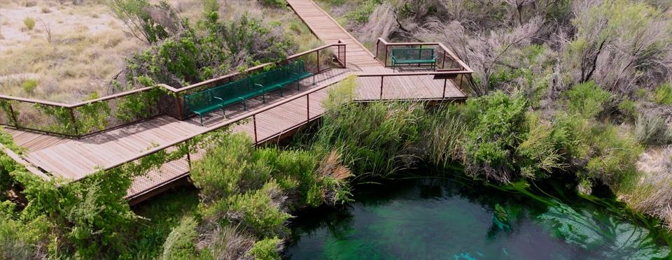 Ash Meadows Crystal Springs boardwalk