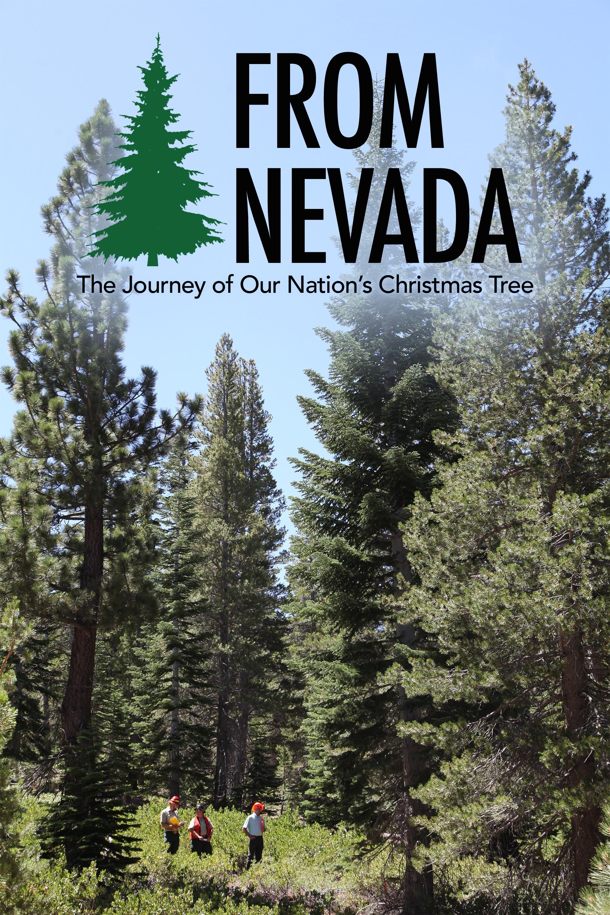 From Nevada The Journey of Our Nation's Christmas Tree