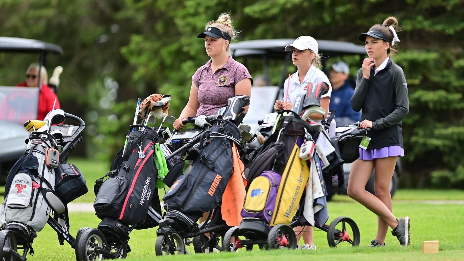 SDPB HS State Golf Championships photo