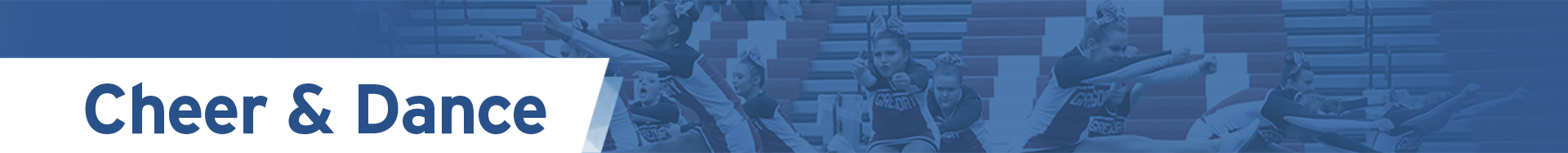 SDPB HS Cheer Dance Logo