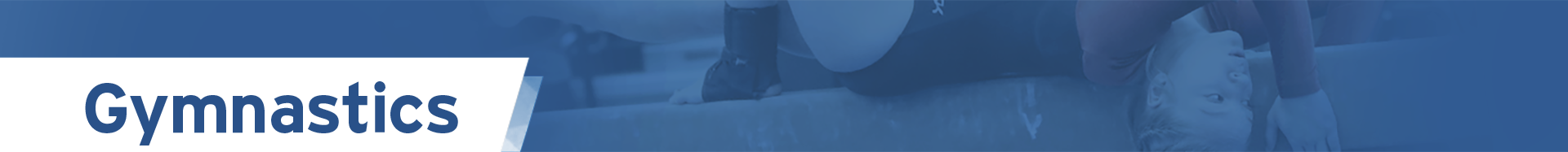 SDPB HS Gymnastics Logo