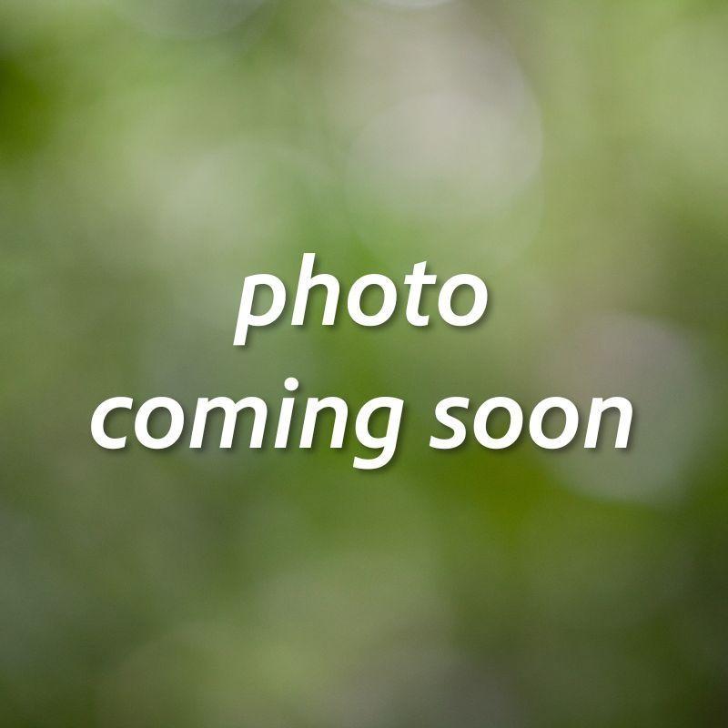 A green blurry background with the words "photo coming soon."