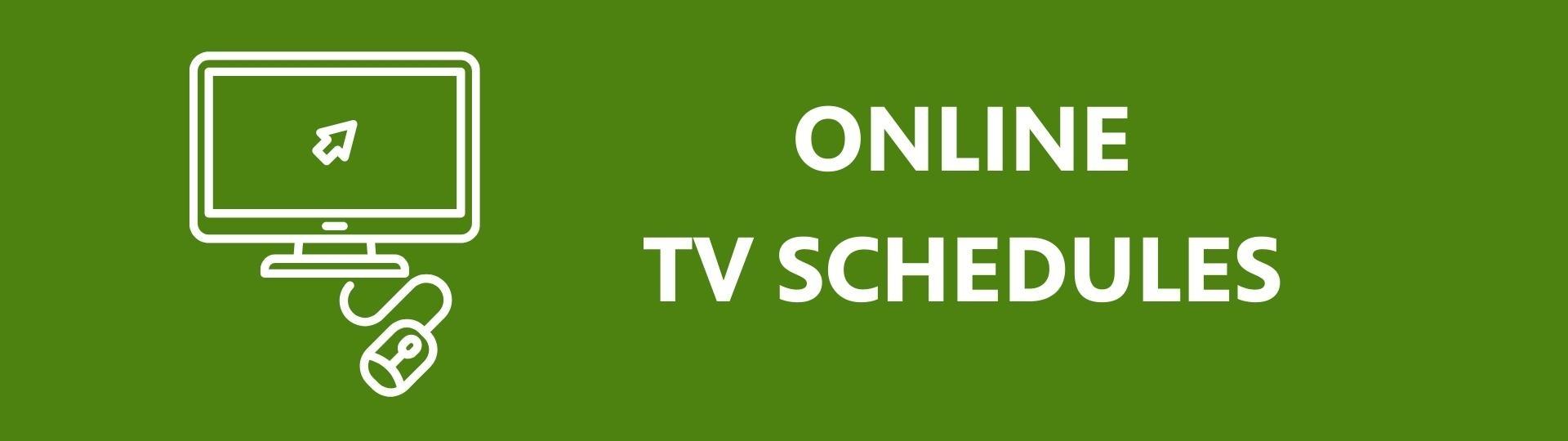 A computer icon to the left of the text, "online TV schedules."